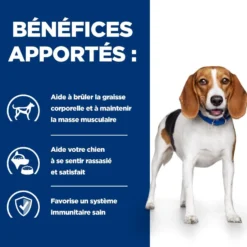 Hill's Prescription Diet r/d Weight Loss au poulet - croquettes chien