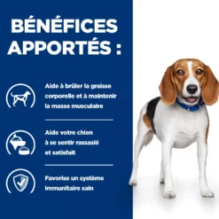 HILL’S Prescription Diet r/d Weight Loss en Boîtes – Pâtée pour chien