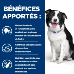 HILL'S Prescription Diet t/d Dental Care au Poulet - Croquettes pour chien