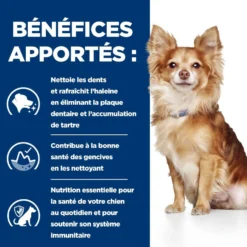 Hill's Prescription Diet t/d Dental Care Mini au poulet - croquettes chien