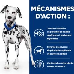 Hill's Prescription Diet u/d Urinary Care - croquettes chien