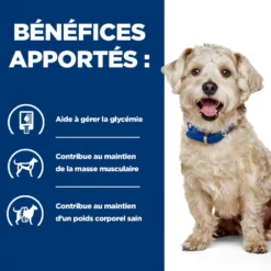 HILL’S Prescription Diet w/d Diabetes Care en Boîtes au Poulet – Pâtée pour chien