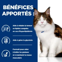 Hill's Prescription Diet w/d Multi Benefit au poulet - croquettes chat