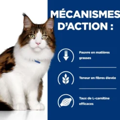 Hill's Prescription Diet w/d Mutli-Benefit en sachets au poulet – pâtée chat
