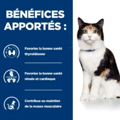 Hill's Prescription Diet y/d Thyroid Care - croquettes chat