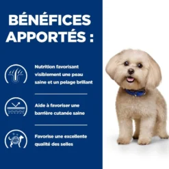 Hill's Prescription Diet z/d Food Sensitivities Mini - croquettes chien