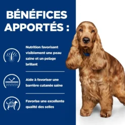 Hill's Prescription Diet z/d Food Sensitivities en boîtes - pâtée chien