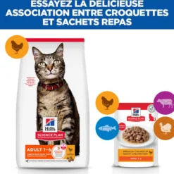 Hill's Science Plan Adult au poulet - croquettes chat