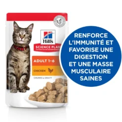 Hill's Science Plan Adult en sachets au poulet & au boeuf - pâtée chat