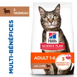 Hill's Science Plan - Croquettes pour Chat Adulte à l'Agneau 10kg