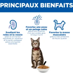 Hill's Science Plan - Croquettes pour Chat Adulte à l'Agneau 10kg