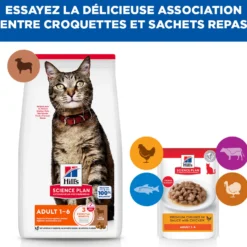 Hill's Science Plan - Croquettes pour Chat Adulte à l'Agneau 10kg