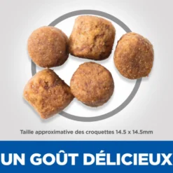 Hill's Science Plan Healthy Mobility Large Adult au poulet - croquettes chien