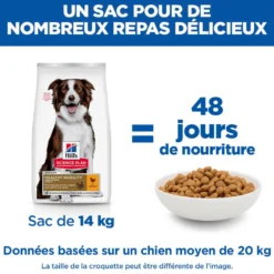 Hill's Science Plan Healthy Mobility Medium Adult au poulet - croquettes chien