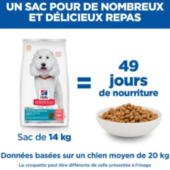 Hill's Science Plan Hypoallergenic Medium Adult au saumon – croquettes chien