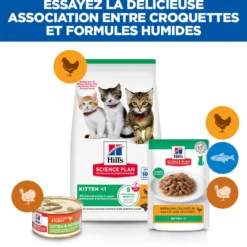 Hill's Science Plan Kitten au poulet - croquettes chaton