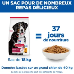 Hill's Science Plan Large Adult au poulet - croquettes chien