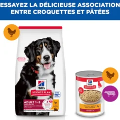 Hill's Science Plan Large Adult au poulet - croquettes chien