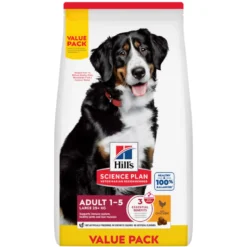 Hill's Science Plan Large Adult au poulet - croquettes chien