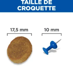 Hill's Science Plan Large Mature Adult 6+ au poulet - croquettes chien