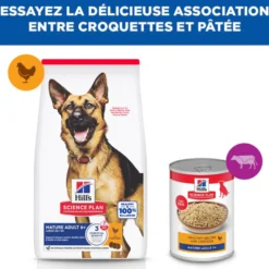 Hill's Science Plan Large Mature Adult 6+ au poulet - croquettes chien