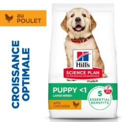 Hill's Science Plan Large Puppy au poulet - croquettes chiot