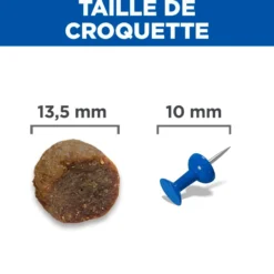 Hill's Science Plan Large Puppy au poulet - croquettes chiot