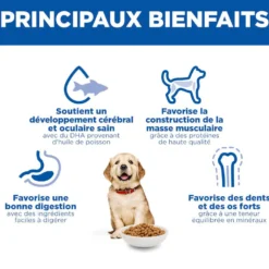 Hill's Science Plan Large Puppy au poulet - croquettes chiot