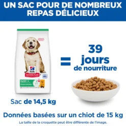 Hill's Science Plan Large Puppy au poulet - croquettes chiot