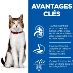 Hill's Science Plan Mature Adult 7+ en sachets - pâtée chat