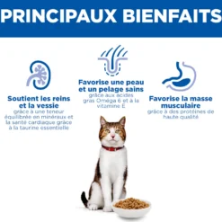 Hill's Science Plan Mature - Croquettes pour Chat Mature au Saumon 10 kg