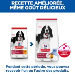 Hill's Science Plan Medium Adulte au poulet - croquettes chien