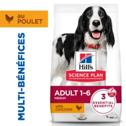 Hill's Science Plan Medium Adulte au poulet - croquettes chien