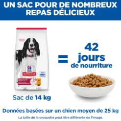 Hill's Science Plan Medium Adulte au poulet - croquettes chien
