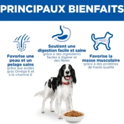Hill's Science Plan Medium Adulte au poulet - croquettes chien