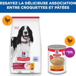 Hill's Science Plan Medium Adulte au poulet - croquettes chien