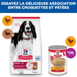 Hill's Science Plan Medium Adult à l'agneau - croquettes chien