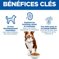 Hill's Science Plan Medium Mature Adult 7+ au poulet - croquettes chien