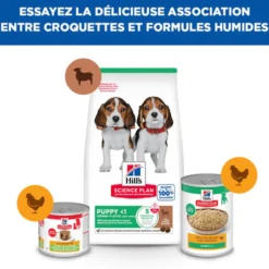 HILL'S Science Plan Medium Puppy à l'Agneau - Croquettes pour chiot