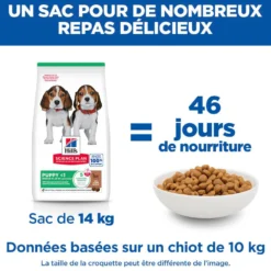 HILL'S Science Plan Medium Puppy à l'Agneau - Croquettes pour chiot