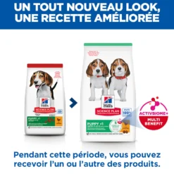 Hill's Science Plan Medium Puppy au poulet - croquettes chiot