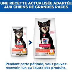 HILL'S Science Plan Perfect Digestion Small & Mini Adult au Poulet - Croquettes pour chien