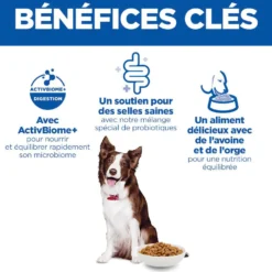 Hill's Science Plan Perfect Digestion Medium Adult au poulet - croquettes chien