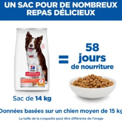 Hill's Science Plan Perfect Digestion Medium Adult au poulet - croquettes chien