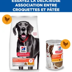 HILL'S Science Plan Perfect Digestion Large Adult au Poulet - Croquettes pour chien