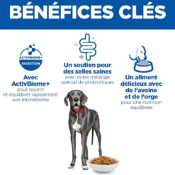 HILL'S Science Plan Perfect Digestion Large Adult au Poulet - Croquettes pour chien