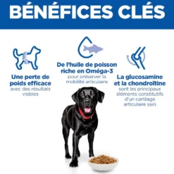 Hill's Science Plan Perfect Weight & Active Mobility Large Adult au poulet - croquettes chien