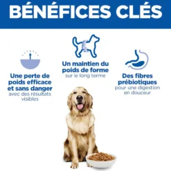 Hill's Science Plan Perfect Weight Large Adult au poulet - croquettes chien