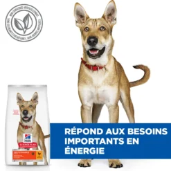 HILL'S Science Plan Performance All Breed Adult au Poulet - Croquettes pour chien