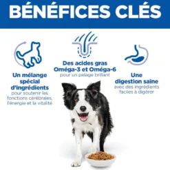 Hill's Science Plan Senior Vitality Medium Mature Adult 7+ au poulet - croquettes chien